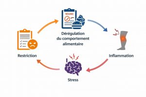 Impact des régimes et du comportement alimentaire sur l’inflammation dans le lipœdème